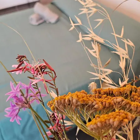 Comme Sur Un Bateau! * Sète