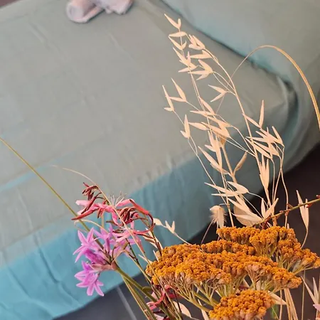 Comme Sur Un Bateau! Sète