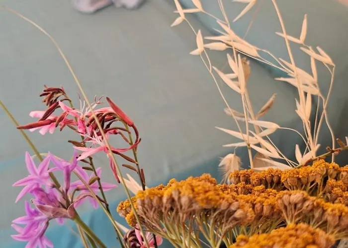 Comme Sur Un Bateau! * Sète